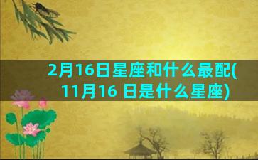 2月16日星座和什么最配(11月16 日是什么星座)